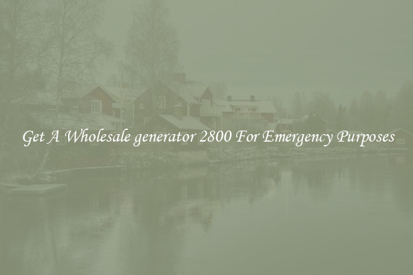 Get A Wholesale generator 2800 For Emergency Purposes