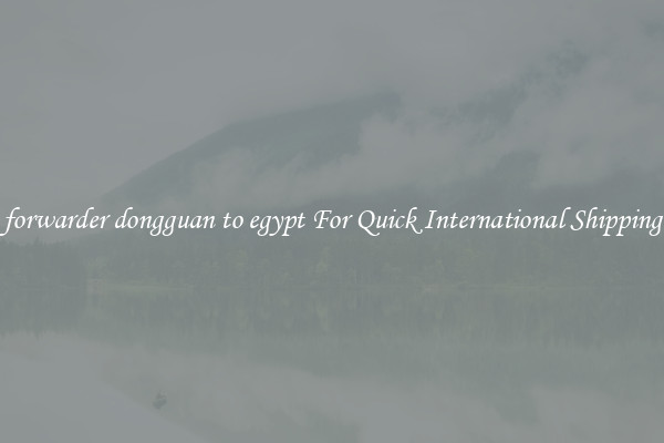 forwarder dongguan to egypt For Quick International Shipping