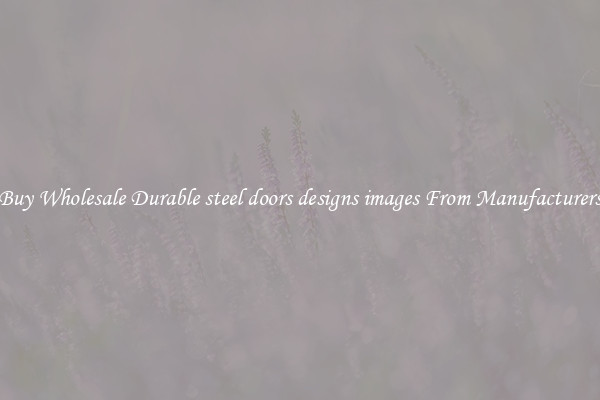 Buy Wholesale Durable steel doors designs images From Manufacturers