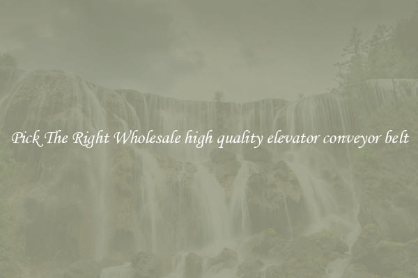 Pick The Right Wholesale high quality elevator conveyor belt