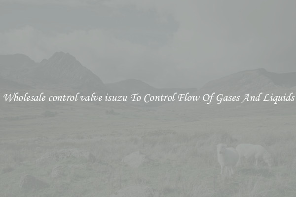 Wholesale control valve isuzu To Control Flow Of Gases And Liquids