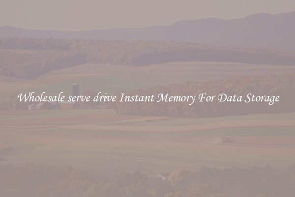Wholesale serve drive Instant Memory For Data Storage