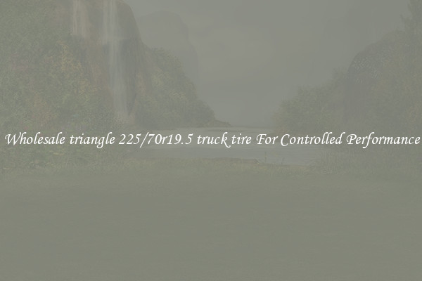 Wholesale triangle 225/70r19.5 truck tire For Controlled Performance