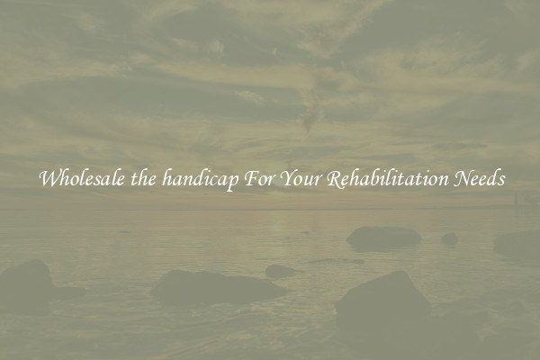 Wholesale the handicap For Your Rehabilitation Needs