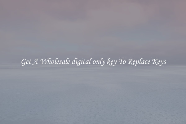 Get A Wholesale digital only key To Replace Keys