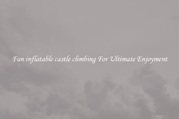 Fun inflatable castle climbing For Ultimate Enjoyment