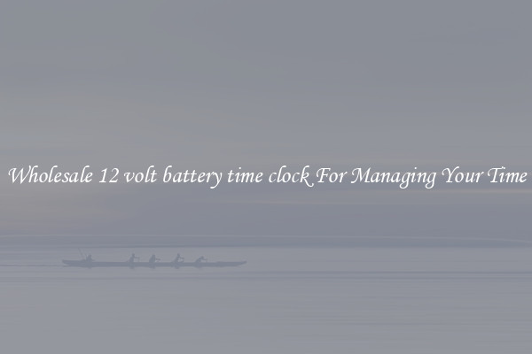 Wholesale 12 volt battery time clock For Managing Your Time