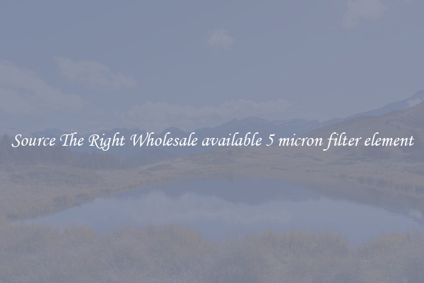 Source The Right Wholesale available 5 micron filter element