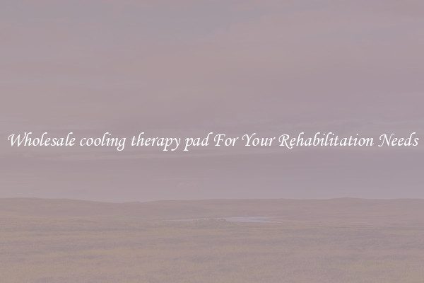 Wholesale cooling therapy pad For Your Rehabilitation Needs