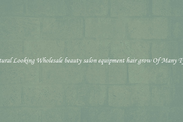 Natural Looking Wholesale beauty salon equipment hair grow Of Many Types