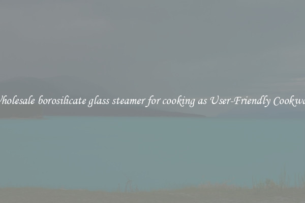 Wholesale borosilicate glass steamer for cooking as User-Friendly Cookware