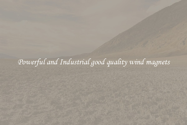 Powerful and Industrial good quality wind magnets