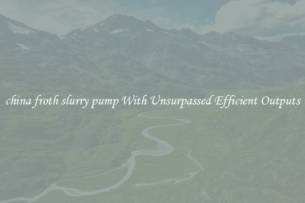 china froth slurry pump With Unsurpassed Efficient Outputs