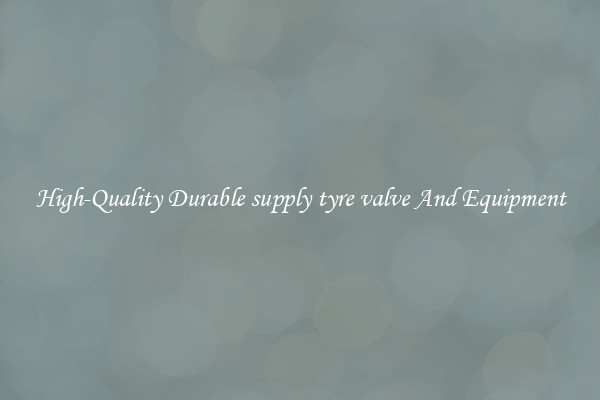 High-Quality Durable supply tyre valve And Equipment