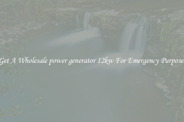 Get A Wholesale power generator 12kw For Emergency Purposes