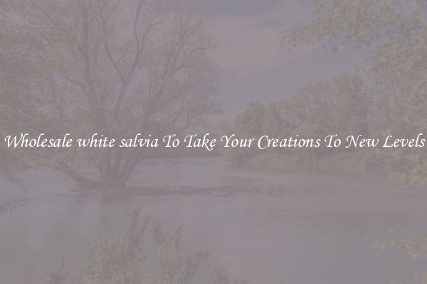 Wholesale white salvia To Take Your Creations To New Levels