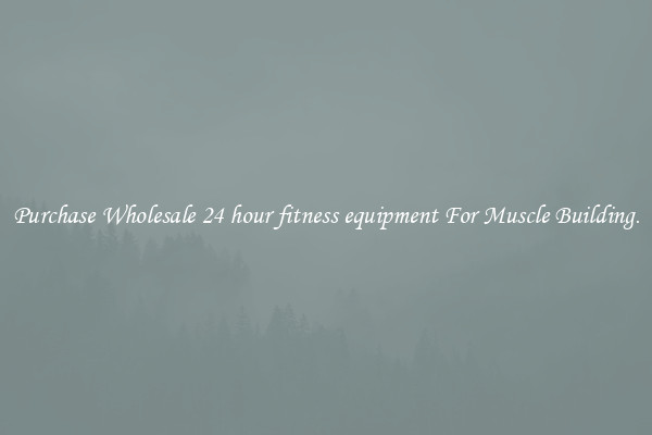 Purchase Wholesale 24 hour fitness equipment For Muscle Building.