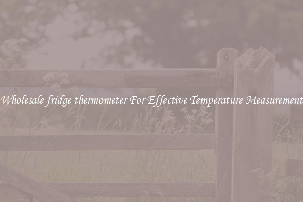 Wholesale fridge thermometer For Effective Temperature Measurement