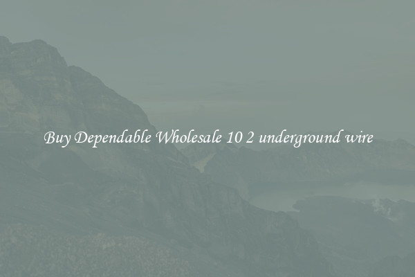 Buy Dependable Wholesale 10 2 underground wire