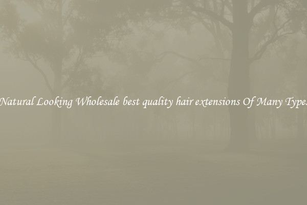 Natural Looking Wholesale best quality hair extensions Of Many Types