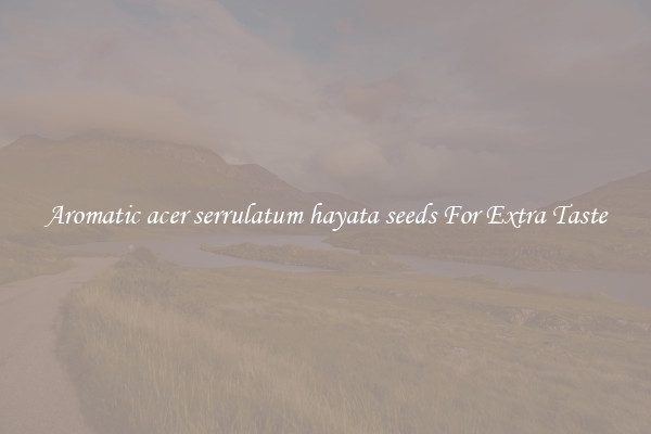 Aromatic acer serrulatum hayata seeds For Extra Taste