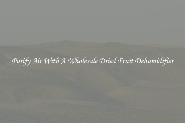Purify Air With A Wholesale Dried Fruit Dehumidifier