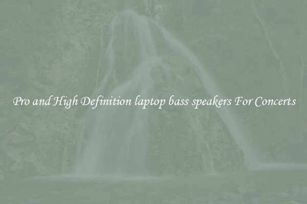 Pro and High Definition laptop bass speakers For Concerts
