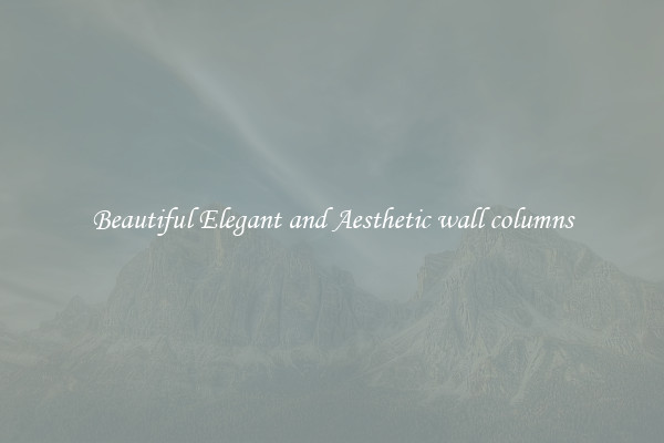 Beautiful Elegant and Aesthetic wall columns