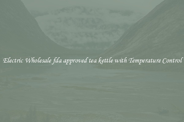 Electric Wholesale fda approved tea kettle with Temperature Control