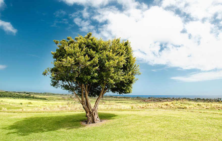 J9国际站|集团官网